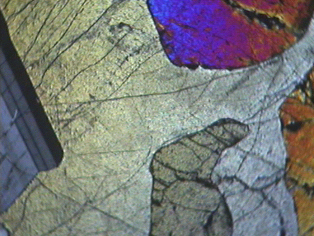 Beautiful SD traditional mineral thin section footage. What rock is this? Schist? Taken at Columbia College Chicago, moons ago.